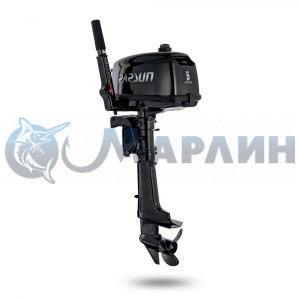 Двигатель T5 (BMS, черный)