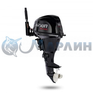 Двигатель F9.9 (BMS, черный)