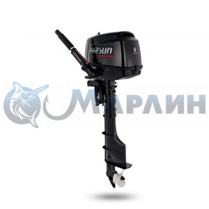 Двигатель F6 (BMS, черный)